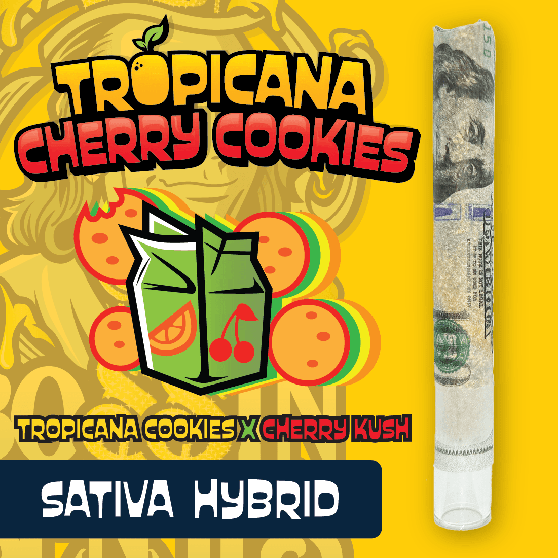 RR|Bossin Benji|Tropicana Cherry Cookies