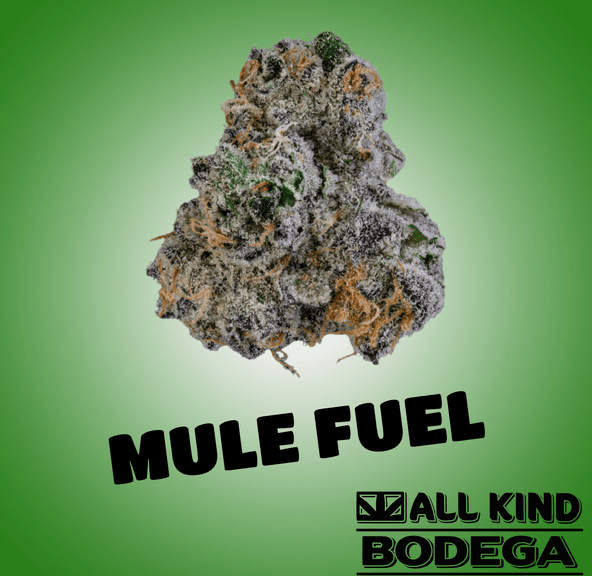 Mule Fuel 3.5g Flower (@Jarcannabis2.0)