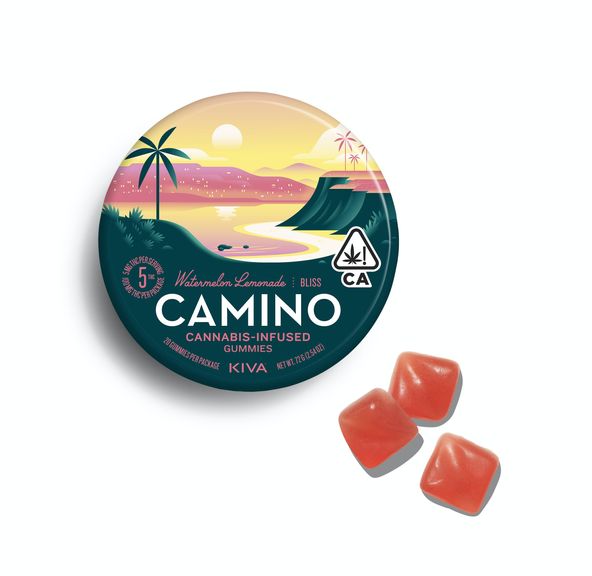 Camino Watermelon Lemonade $16