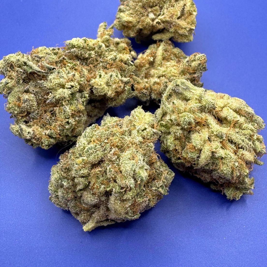 CALI GAS by Purple Rose THC 33.08% OUNCE