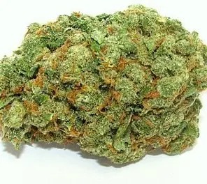 Wifi Cake #5