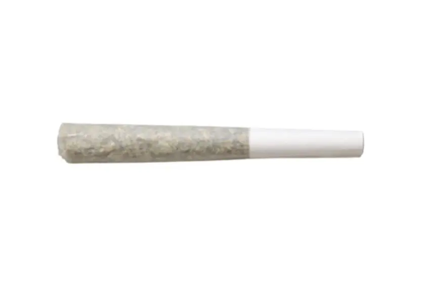 0.5g Bubble Hash & Live Rosin Infused House Roulette Pre Roll Joint - Limited Edition
