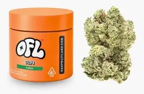 Gg#4 Jar