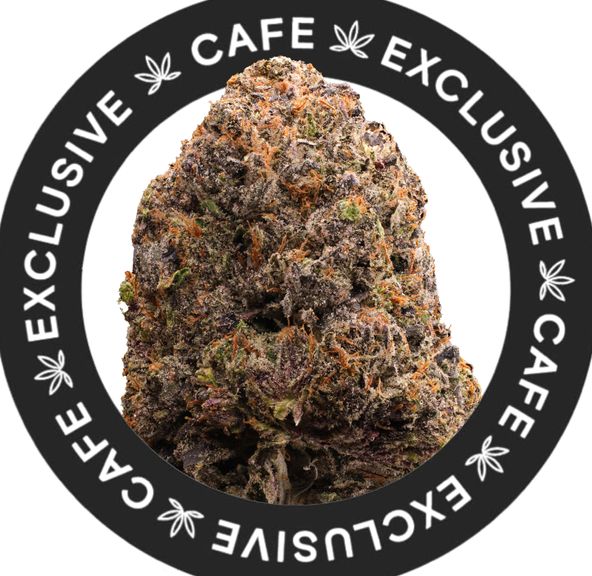 7G CAFE EXCLUSIVES- 3 IN THE PINK