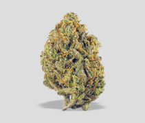 Unbound Flower - Lemon Pastries, 3.5 grams