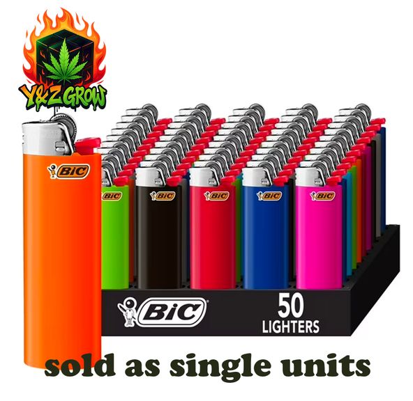 BIC Lighter