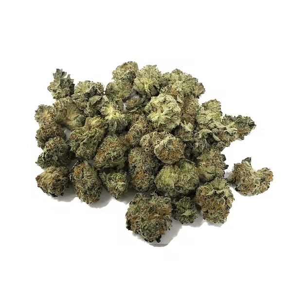Grrranimals -  Premium Flower Jar Smalls