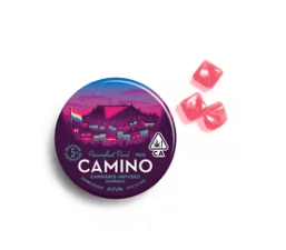 [Camino] Gummies - 100mg - Pride Passionfruit Punch