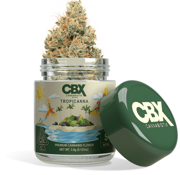 Cannabiotix | Flower | 3.5g | Tropicanna