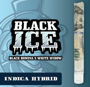 RR|Fancy Franklin|Black Ice