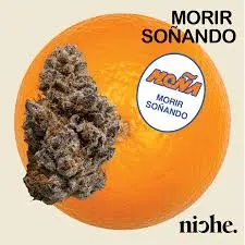 [Moña] Morir Soñando | 3.5g
