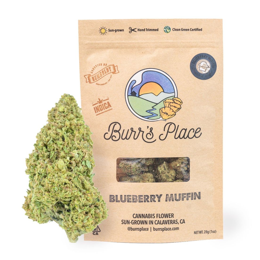 Burr's Place OZ Blueberry Muffin $80