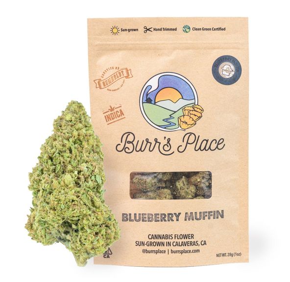 Burr's Place OZ Blueberry Muffin $80