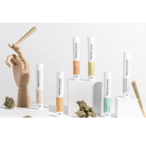 Algoma Farms - Infused Preroll - Blue Nerdz 1.2g