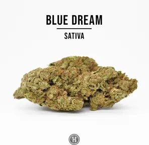 THCa Hemp Flower, Blue Dream