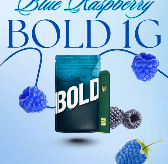 Disposable: Blue Razzberry - BOLD - 1G