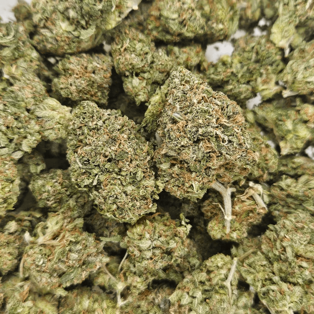 HINDU KUSH