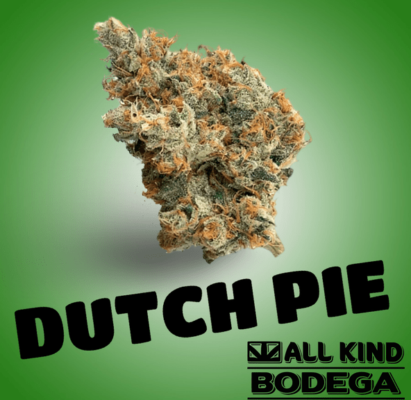 Dutch Pie 3.5g Flower (@thekingsstache)