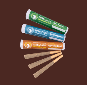 Himalaya Infused Pre-roll Sherbanger 1g