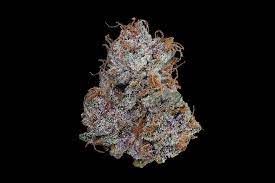 Maven - Tropicana Cookies - 3.5G
