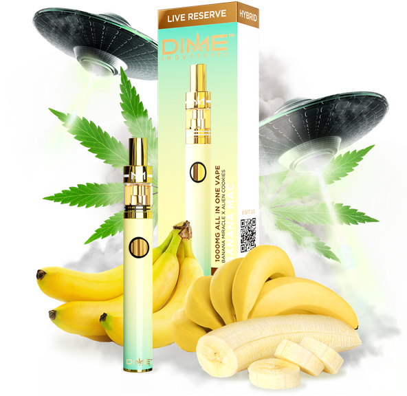 Dime Industries RL - Banana Mac - 1G Hybrid