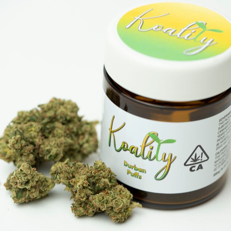 Koality Durban Puffs