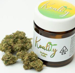 Koality Durban Puffs