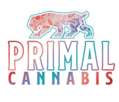 Banana Cream Cake - 1g Pre-Roll