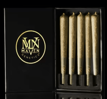 [Maven] Preroll 5 pack - 2.5g - Apple Frosting