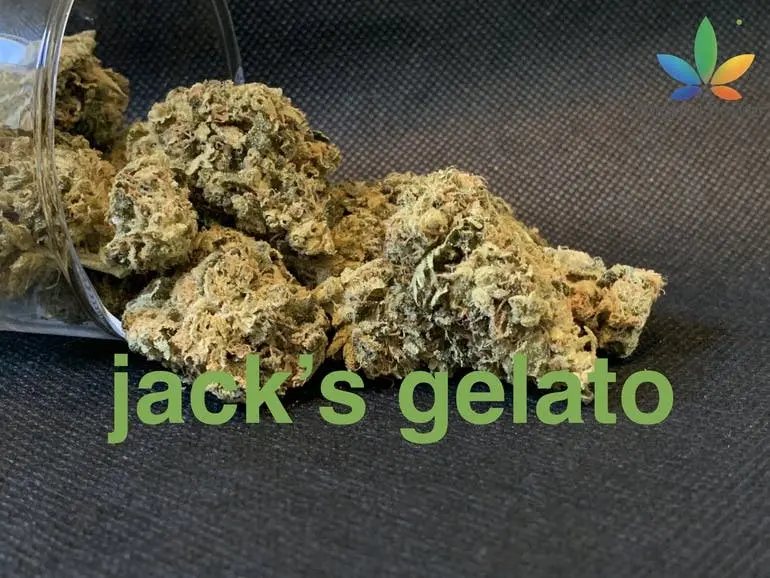 jack's gelato top shelf