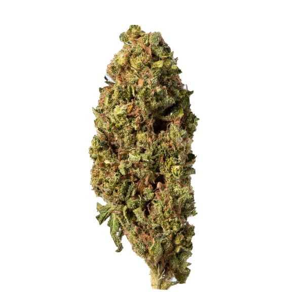 Buddha Kings AK 020
