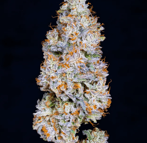 Alien Labs Indoor 3.5g - Biskanté 28%