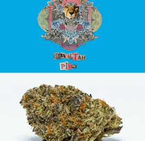 Cheetah Piss 3.5g