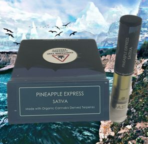 High Coast Pineapple Express Cartridges - 1g