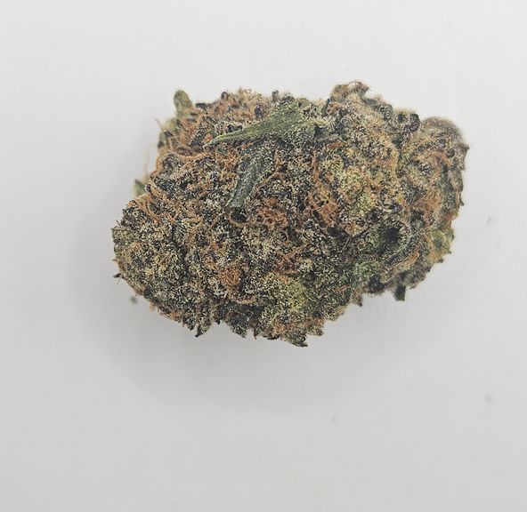 *Indoor - Red Congo - 23% - S