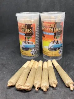 BEACH BUMS GMO PREROLLS THC 24.24%
