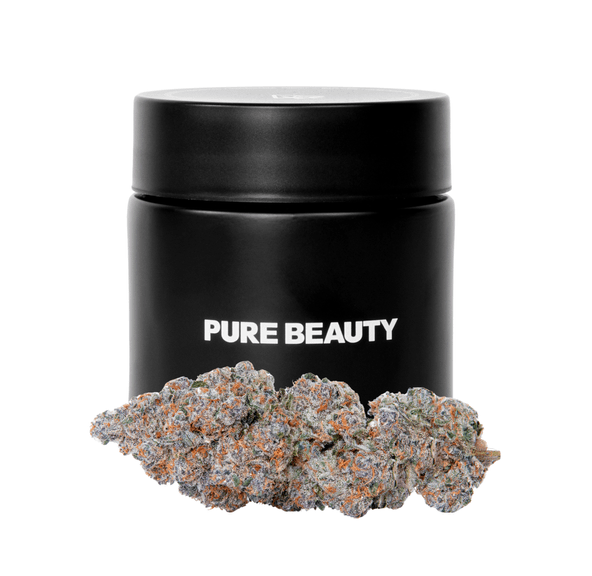 Pure Beauty | Flower | 3.5g | Midnight Snack