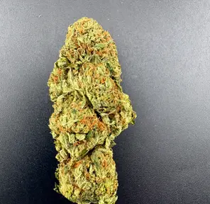 7g - COMATOSE OG (AAAA)