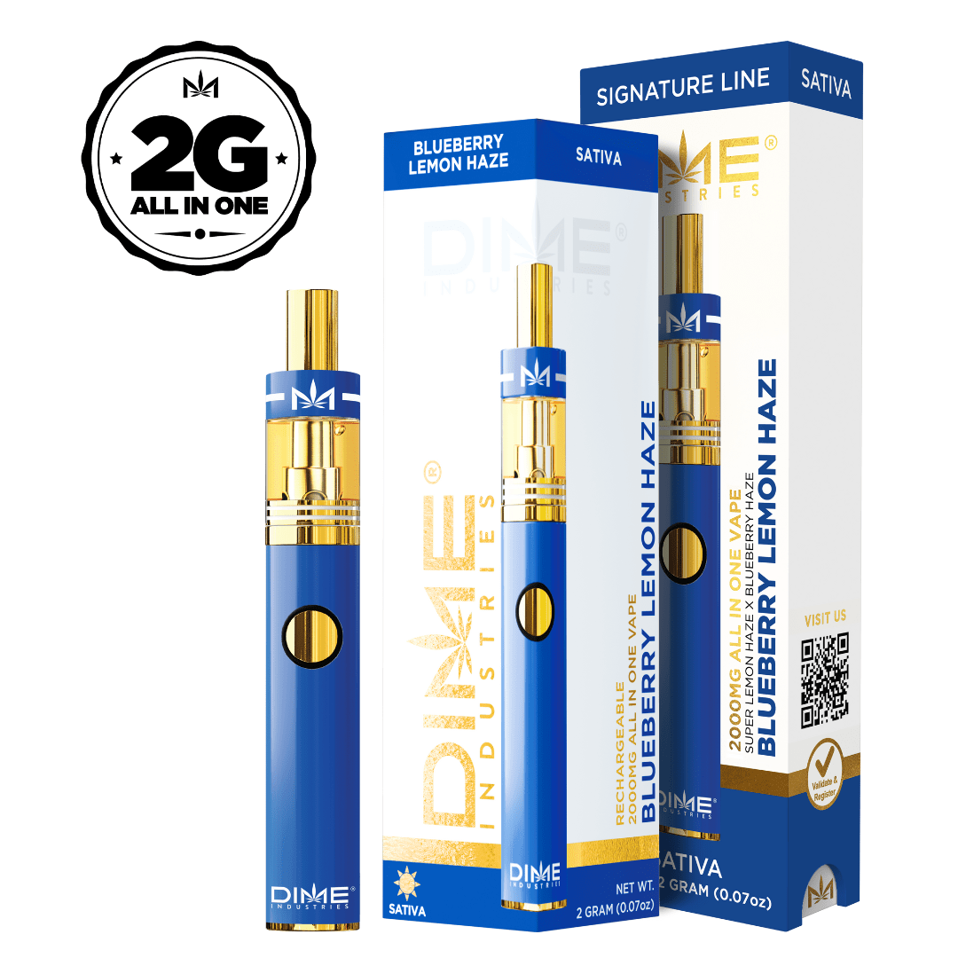 DIME BLUEBERRY LEMON HAZE DISPOSABLE 2G
