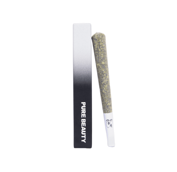 Pure Beauty | Infused Preroll | 1g | Solventless | Hybrid