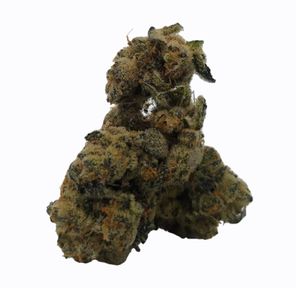 Animal Chem