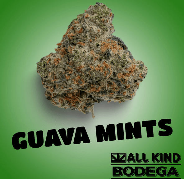 Guava Mints 3.5 Flower (@jarcannabis2.0)