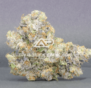 Astropink | Lot #1631 | HEAD ON COLLISION | *November 29th DROP*