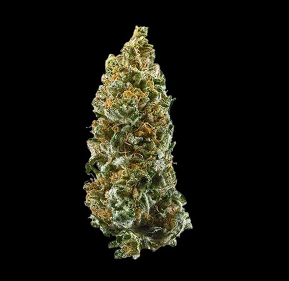 HUMBOLDT GROWERS NETWORK - ZLURPEES 28G SATIVA