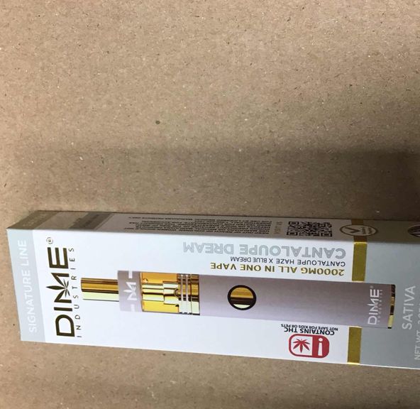 Cantaloupe Dream Dime Disposable 2g