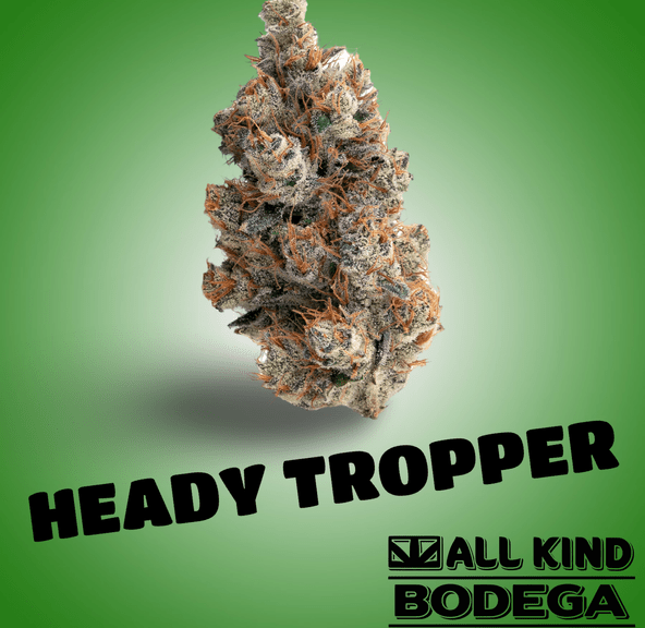 Heady Tropper 3.5g Flower (@thekingsstache)