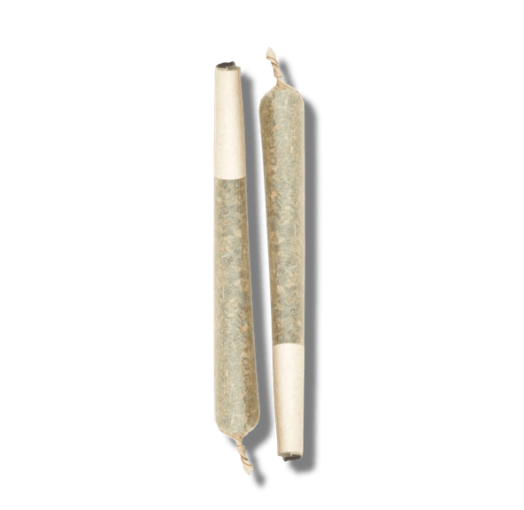 GREEN CHIEF CAL RIPKEN 2-J TWO HALF GRAM PREROLLS- SUN GROWN