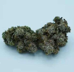 Apple Fritter