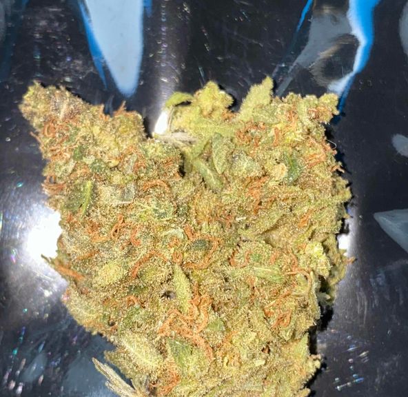 Forbidden Fruit