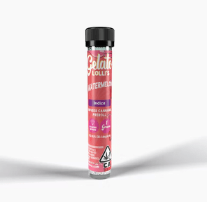 Gelato Infused Pre-roll Watermelon 1.2g